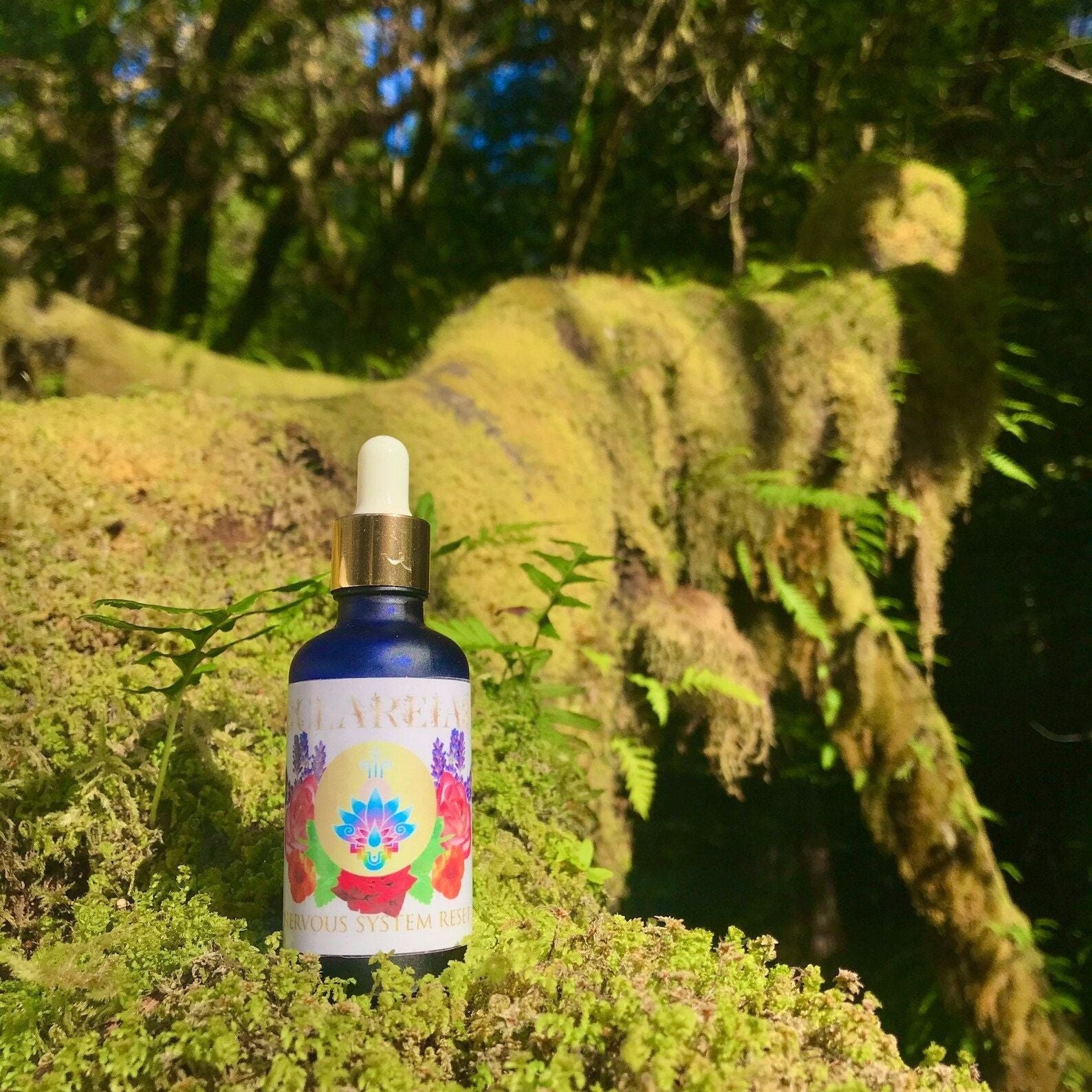 Fresh Nervous System Tincture ~ Relax, Self Soothe, Reset, Restore, Soften, Calming