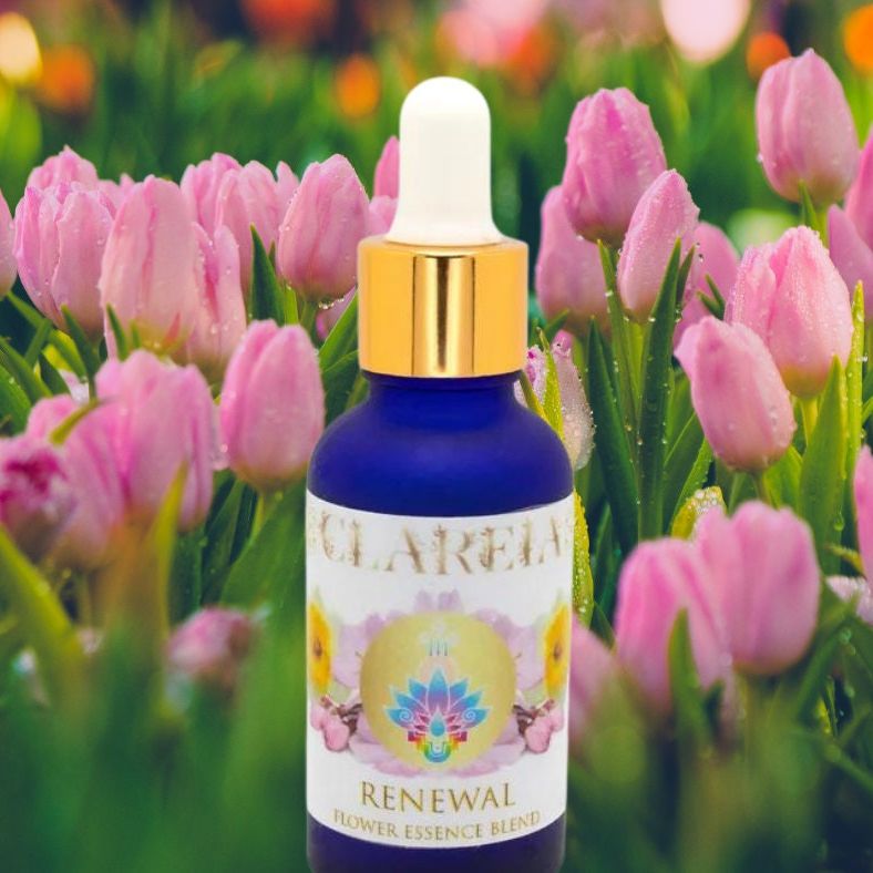 RENEWAL ~ Flower + Crystal Essence Blend ~ Organic, Homegrown, Pristine | Honeysuckle ~ Diamond ~ Daffodil ~ Peach Blossom ~ Calendula
