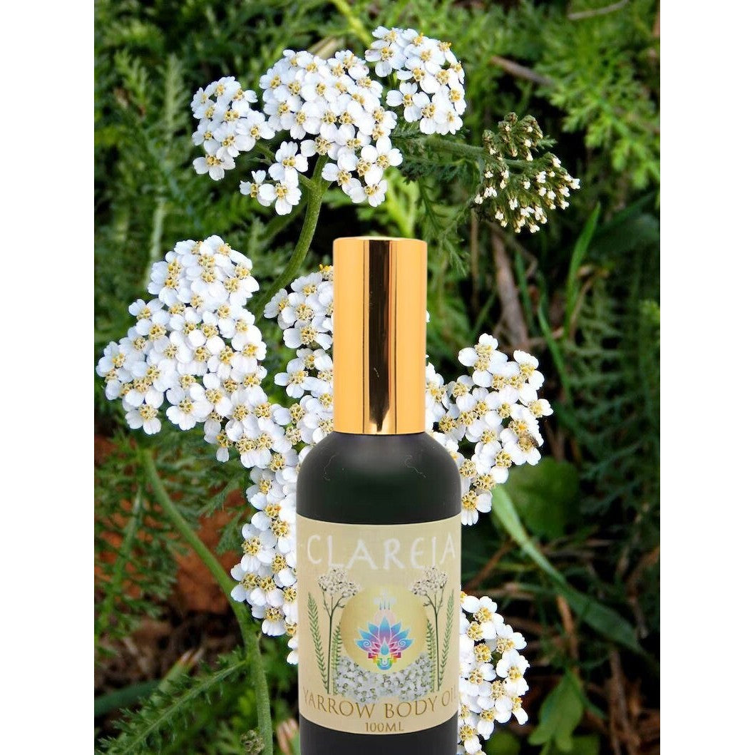 Organic Yarrow Body Oil ~ Potent Fresh Infused | Protection, Clarity, Tonifying, Moisturizing, Nourish, Hydrate, Antiseptic, Antibacterial