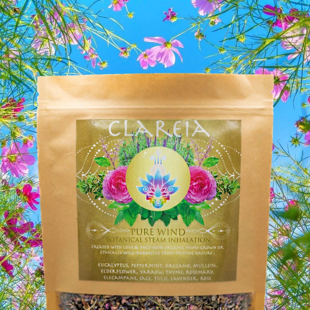 Pure Wind Botanical Steam Inhalation Blend  |  Lung Detox, Antibacterial, Antiviral, Immune boosting, Detox, Respiratory Health, Purifying