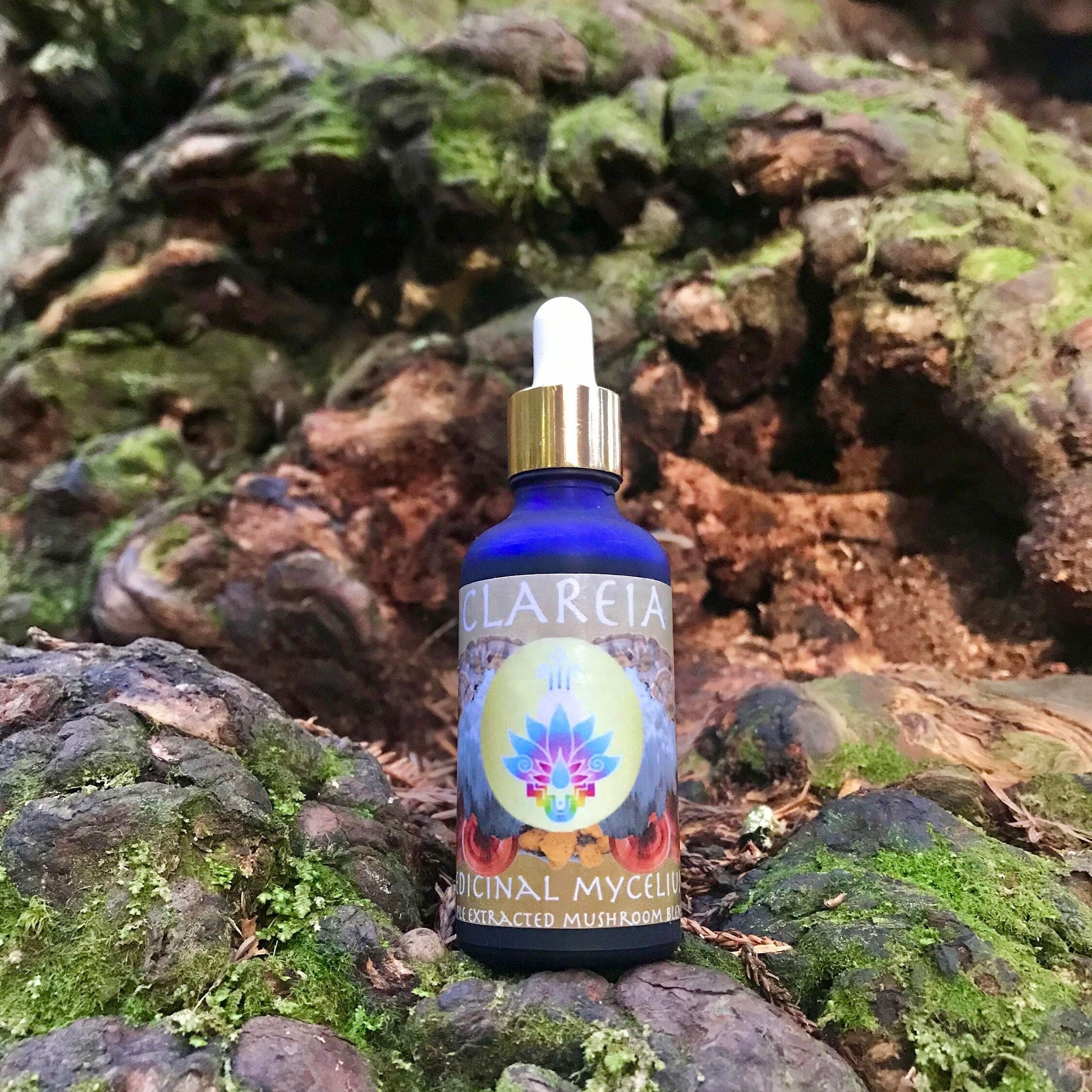 Medicinal Mycelium Tincture