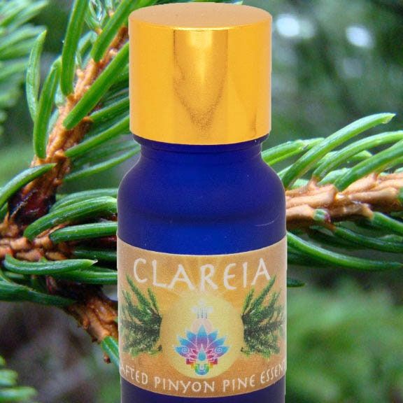 Pristine + Rare Pinyon Pine Essential Oil ~ Ethically wild harvested, Aromatic, Perfumery, Pure, Wild, Coniferous