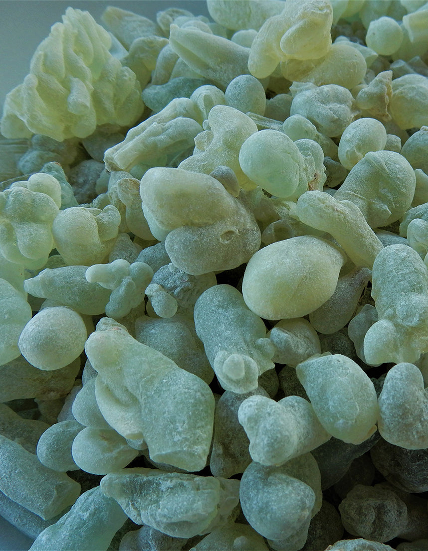 Sultans Hojari Frankincense Hydrosol