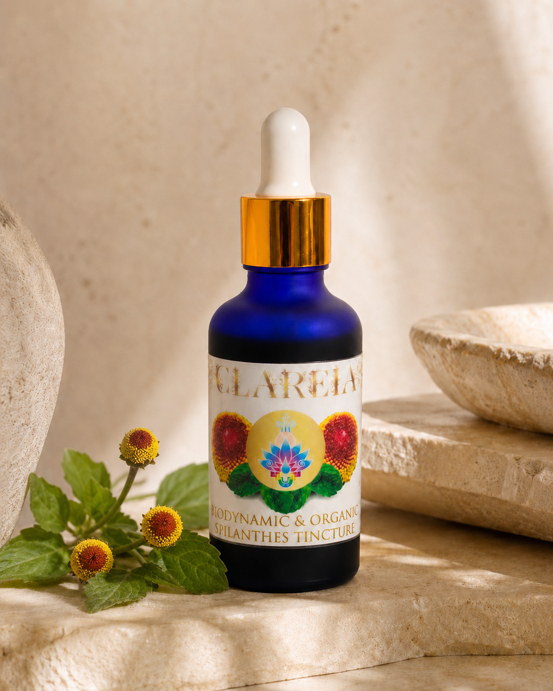 Organic Fresh Spilanthes Tincture