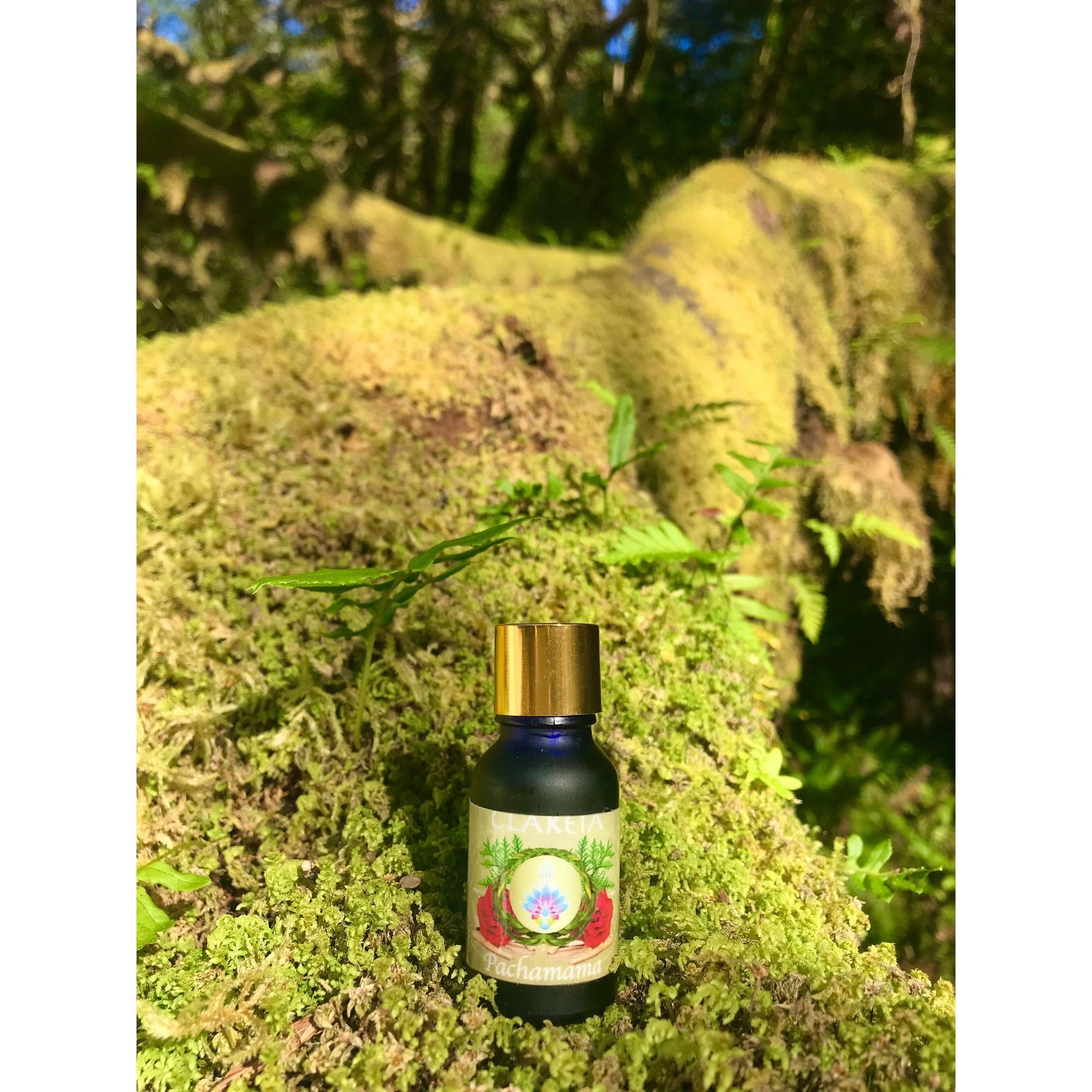 Pachamama Perfume Oil | Grounding ~ Heart Opening ~ Sweet ~ Tree ~ Fresh Earth ~ Uplifting ~ Forgiveness ~ Balancing