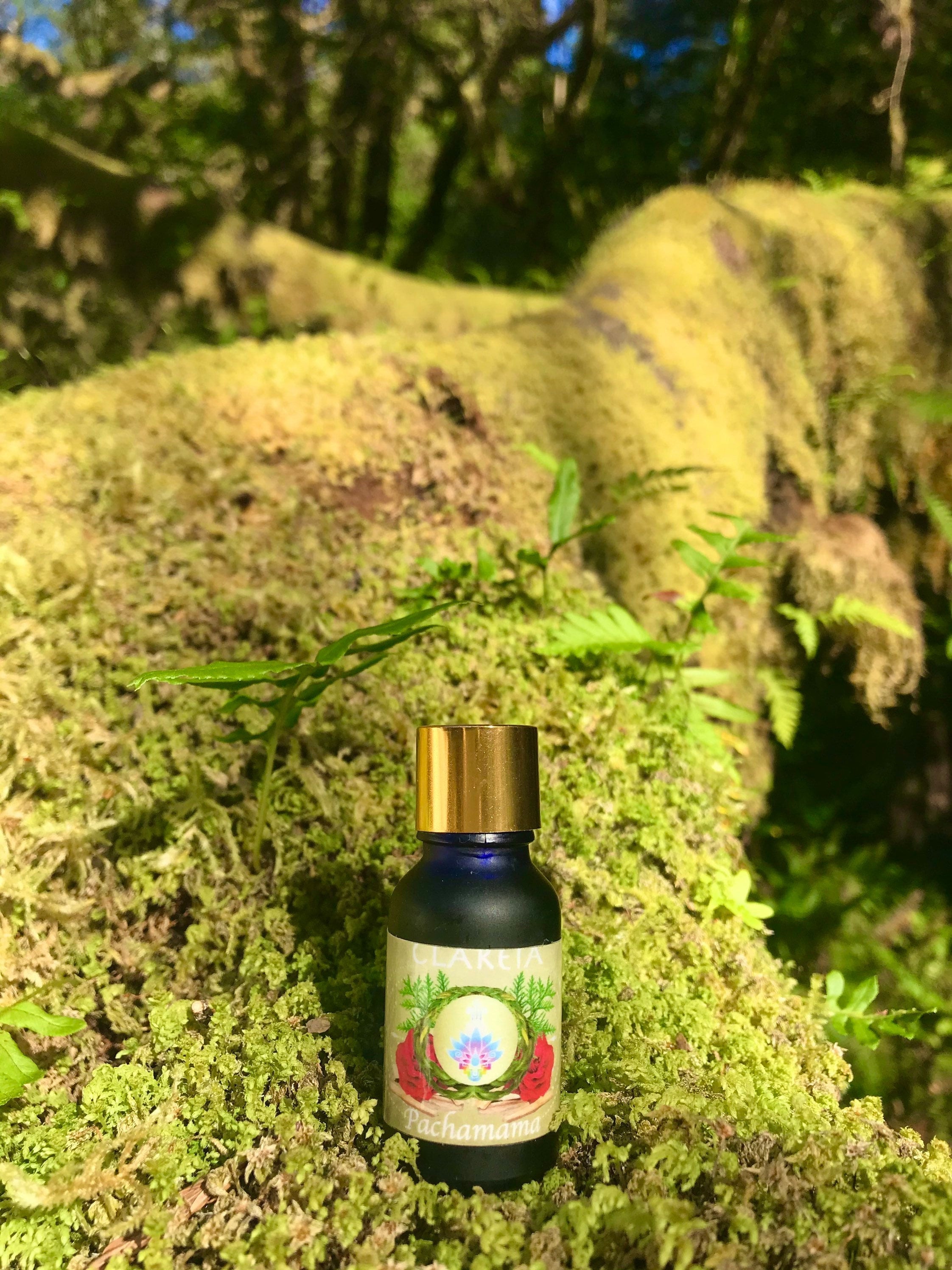 Pachamama Perfume Oil | Grounding ~ Heart Opening ~ Sweet ~ Tree ~ Fresh Earth ~ Uplifting ~ Forgiveness ~ Balancing