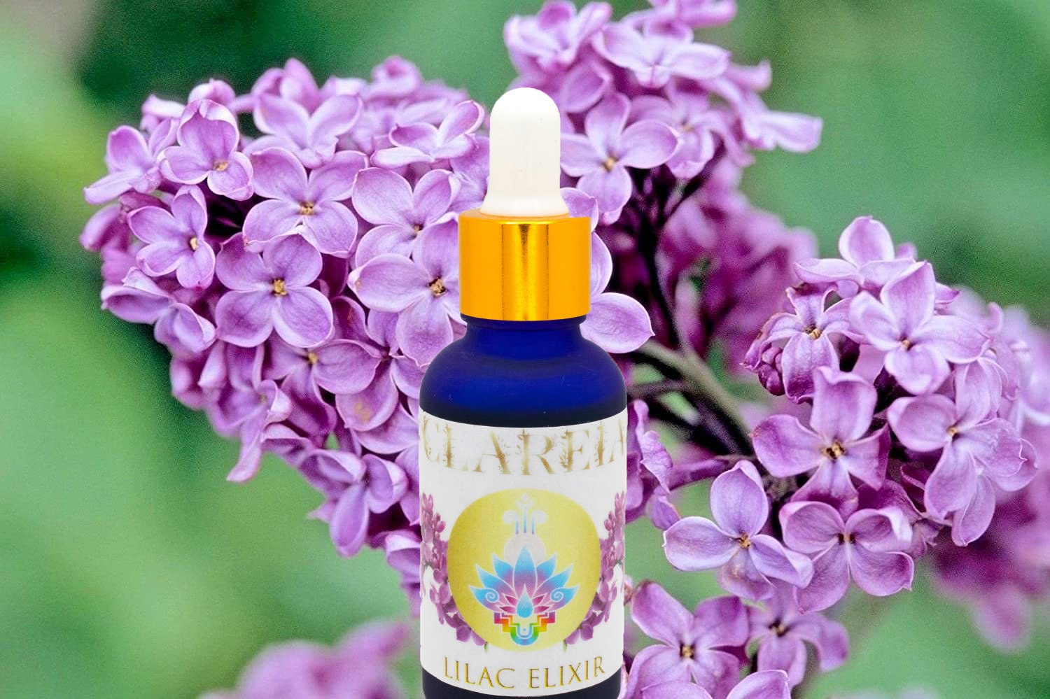 Fresh Lilac Elixir ~ Organic