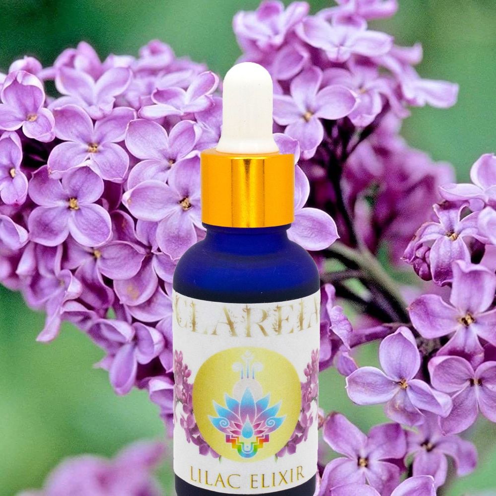 Fresh Lilac Elixir ~ Organic