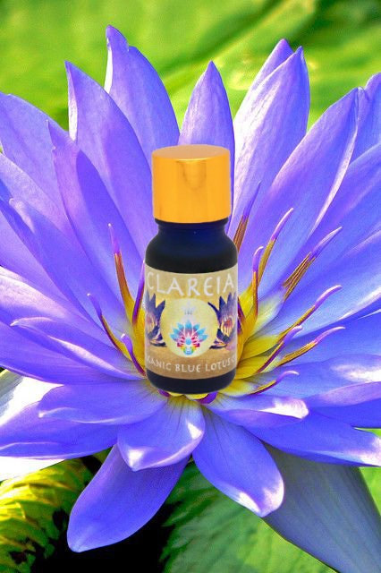 Pristine, Organic + Ethical Blue Lotus Absolute ~ Pure Perfume Oil ~ Ritual Anointing ~ Sacred Ceremony, Intuition, Divination