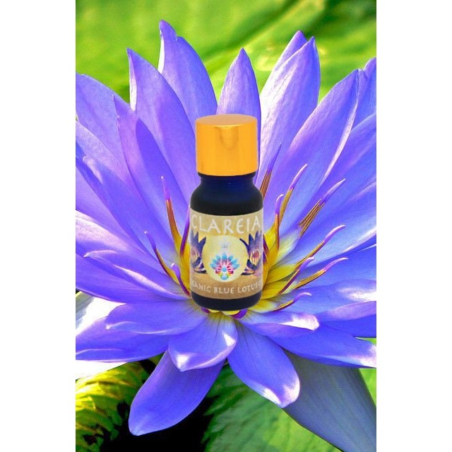 Pristine, Organic + Ethical Blue Lotus Absolute ~ Pure Perfume Oil ~ Ritual Anointing ~ Sacred Ceremony, Intuition, Divination