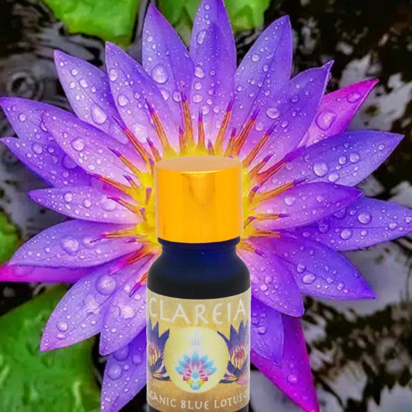 Pristine, Organic + Ethical Blue Lotus Absolute ~ Pure Perfume Oil ~ Ritual Anointing ~ Sacred Ceremony, Intuition, Divination