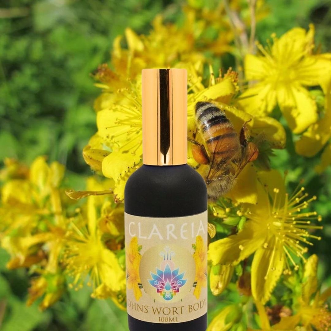 Organic St Johns Wort Body Oil ~ Potent Fresh Infused | Lift your spirits, Anti depressant, Relieves Anxiety, Moisturizing, Nourish, Hydrate