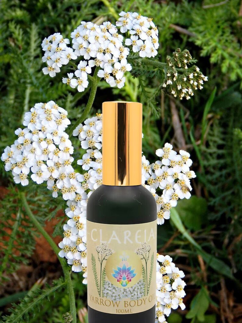 Organic Yarrow Body Oil ~ Potent Fresh Infused | Protection, Clarity, Tonifying, Moisturizing, Nourish, Hydrate, Antiseptic, Antibacterial