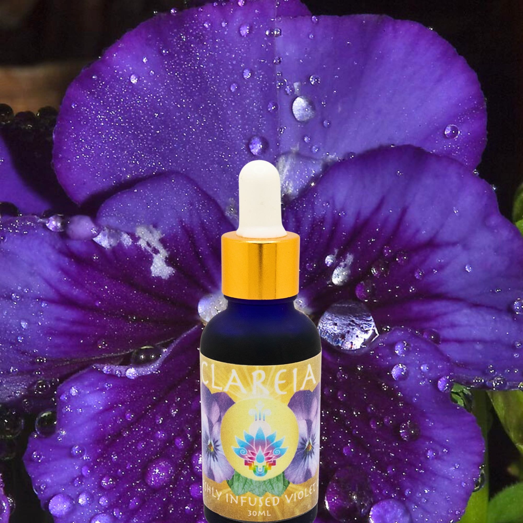 Gorgeous Freshly Infused Violet Leaf & Flower Oil ~ Deep Lymphatic Detox, Circulation