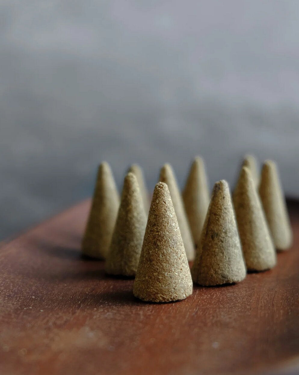 Palo Santo Cones ~ - Ethically Wildcrafted - Pure | Fragrant - Uplifting - Grounding - Woodsy - Sacred Smoke