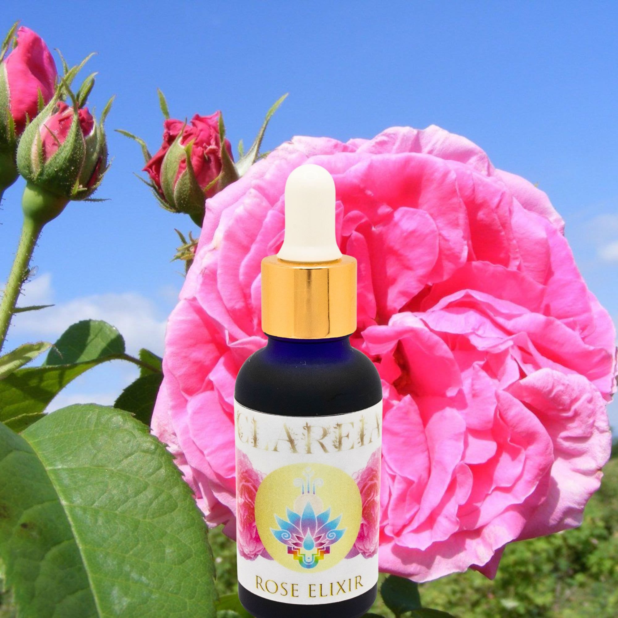 Divine Rose Elixir ~ Organic ~ Pristine beauty, Renewal, Tonifying, Heart opening, Peace, Shen