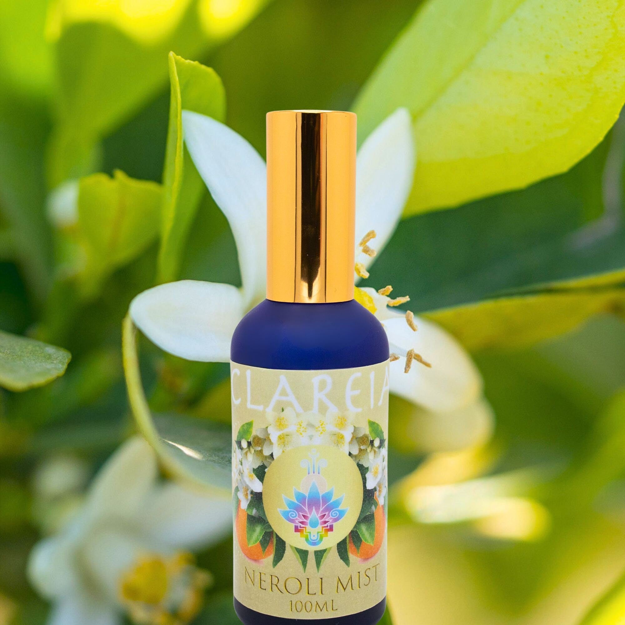 Divine Neroli Blossom Hydrosol ~ Organic | Euphoric ~ Aphrodisiac ~ Calming ~ Uplifting ~ Lifts mood ~ Restful Sleep ~ Joy ~ Peace